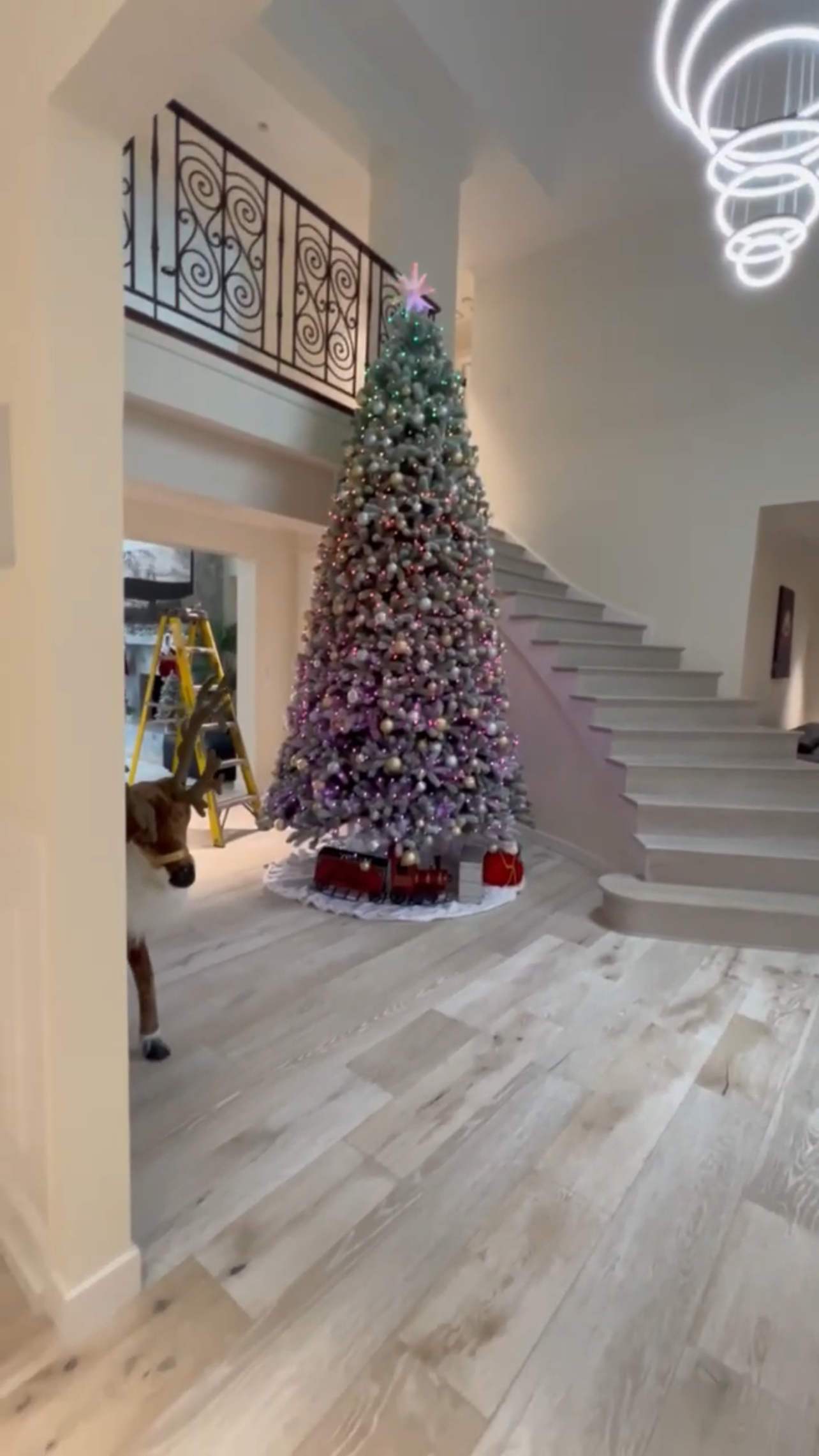 Finished Living Space with Christmas Tree